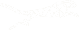 Le Guépard